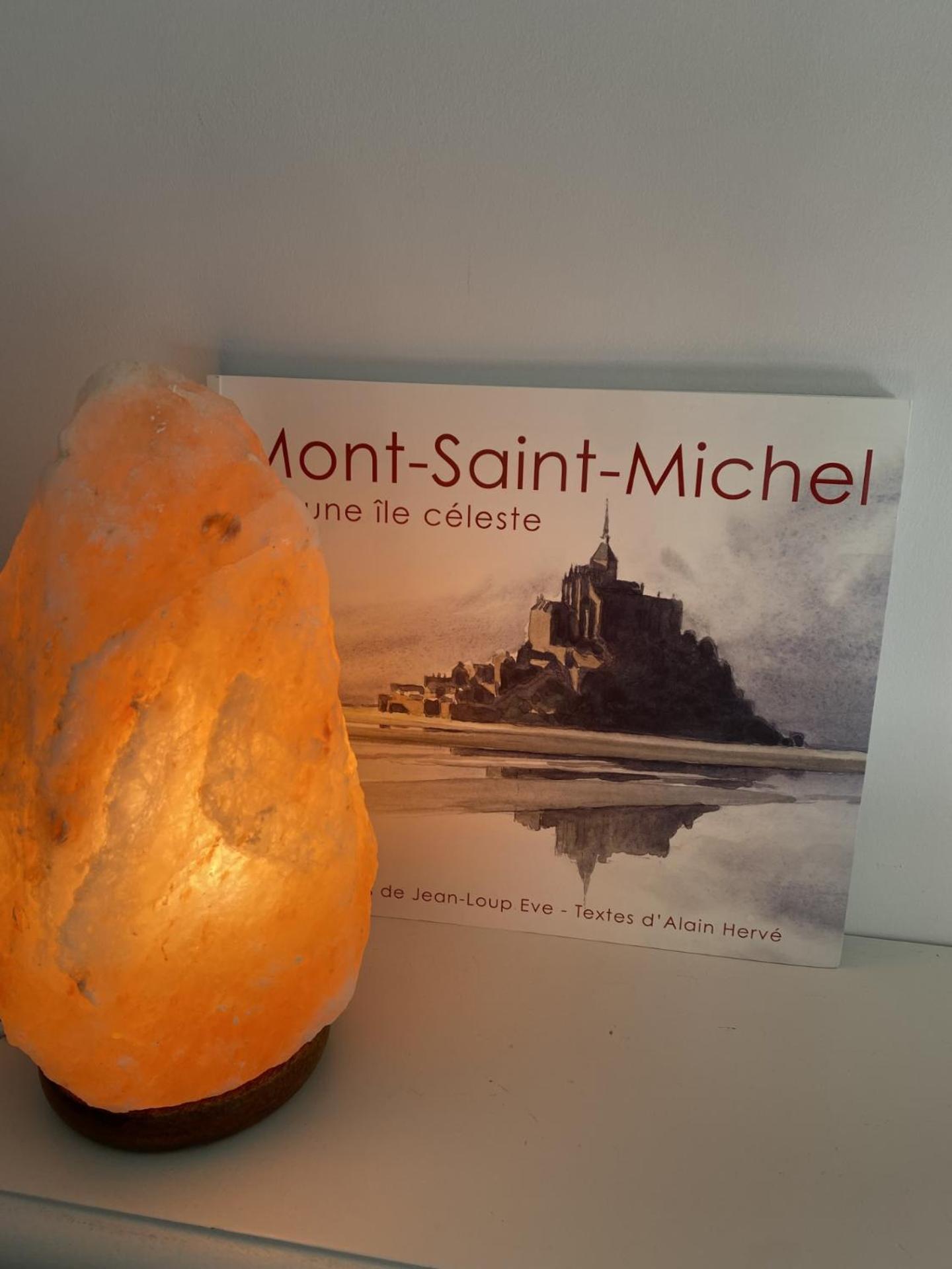 L'Oree Du Mont Proche Du Mont Saint Michel ポントルソン エクステリア 写真
